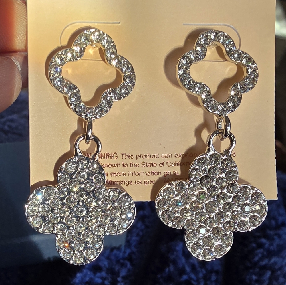 Dazzling Silver Crystal Flower Earrings